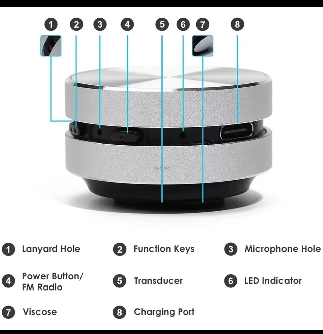 Hummingbird speaker